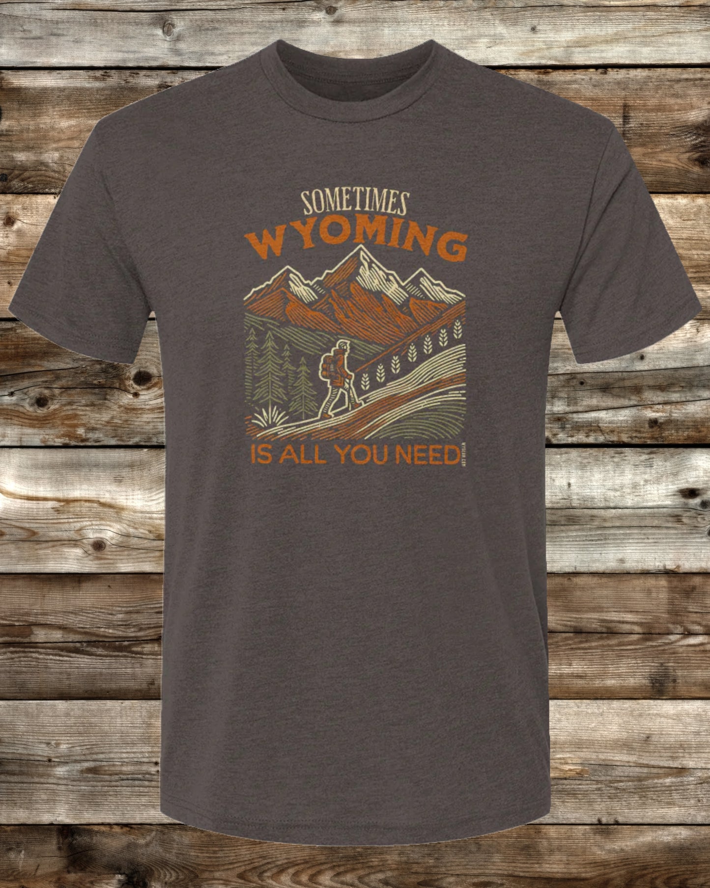 SOMETIMES WYOMING IS ALL YOU NEED - 3 COLORS - Premium Tri-Blend Active T-Shirt